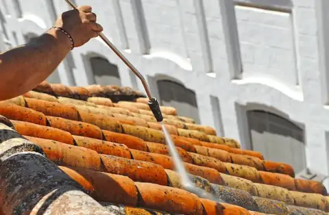 Nettoyage de toitures - Sainte-Honorine-la-Chardonne